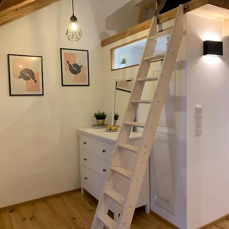 Zentrale 1-zimmer-wohnung In Der Altstadt