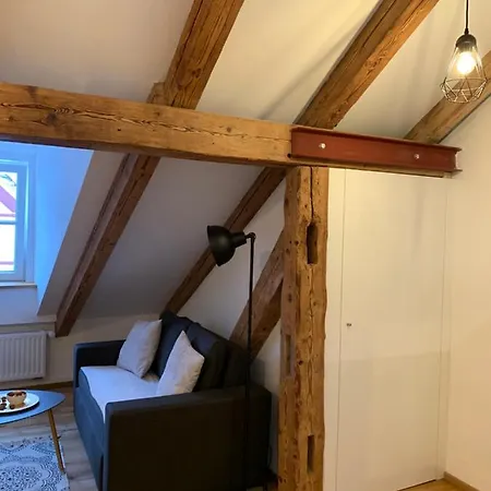 Zentrale 1-zimmer-wohnung In Der Altstadt