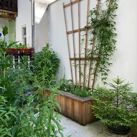 Apartment Zentrale 1-zimmer-wohnung In Der Altstadt *