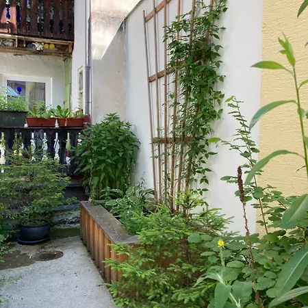 Zentrale 1-zimmer-wohnung In Der Altstadt Apartment