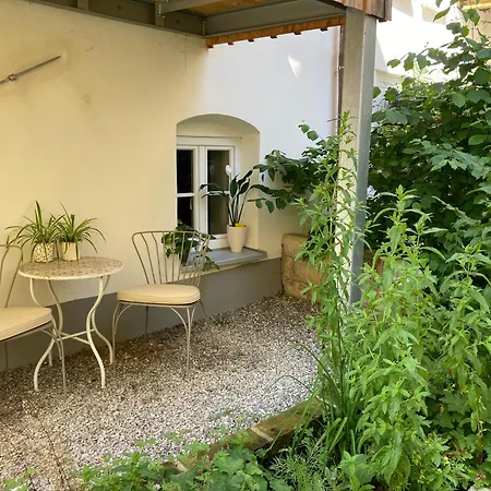 Zentrale 1-zimmer-wohnung In Der Altstadt